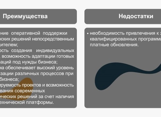 Плюсы и минусы ПО 1С: в коробке
